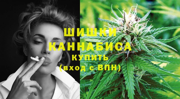 гидропоника Бронницы