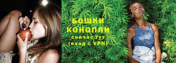 гидропоника Бронницы