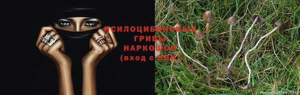 прущая мука Бугульма